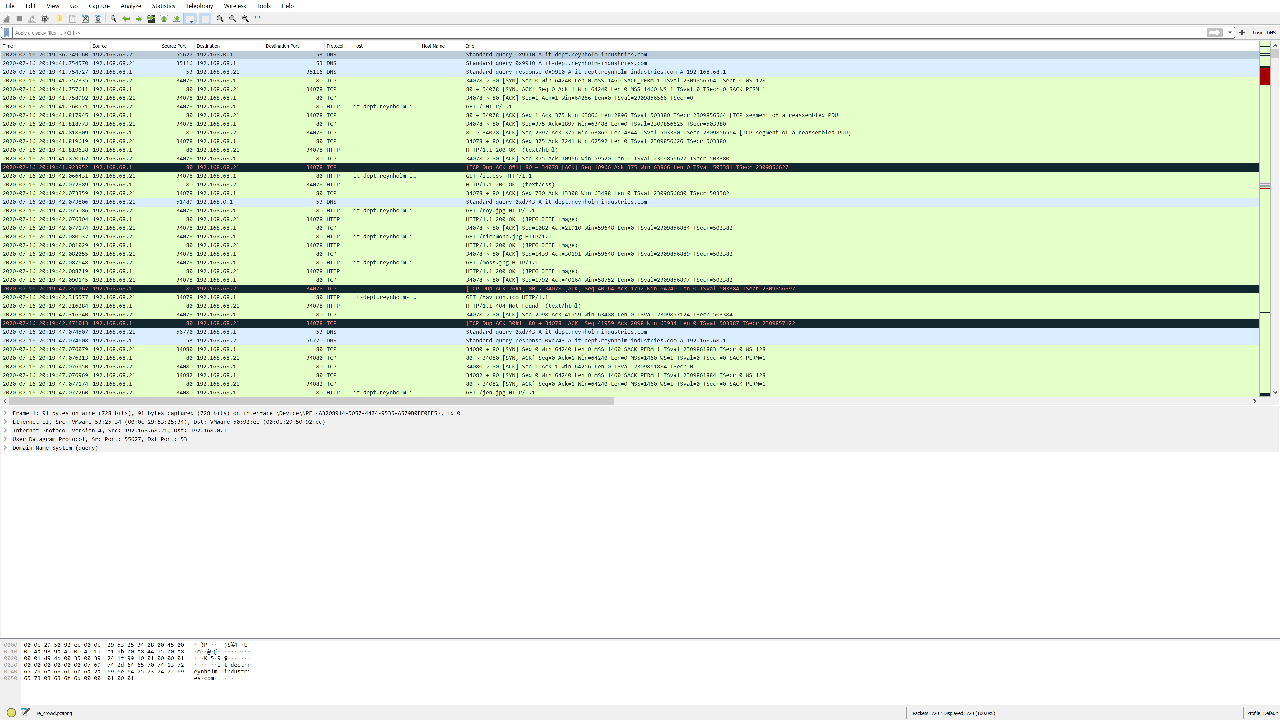 Initial Wireshark capture.